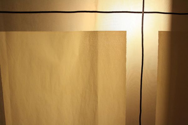 linis and light 3
