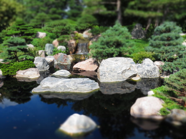 mini japanese garden