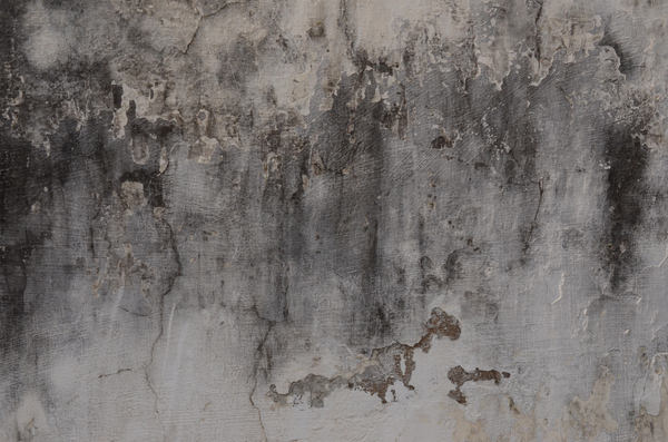 Decaying wall 4