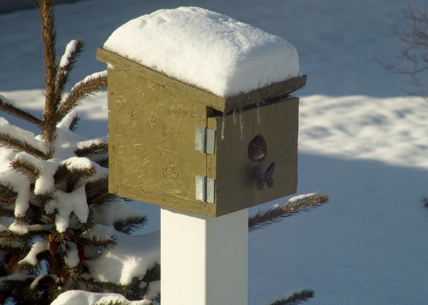 Winter Home