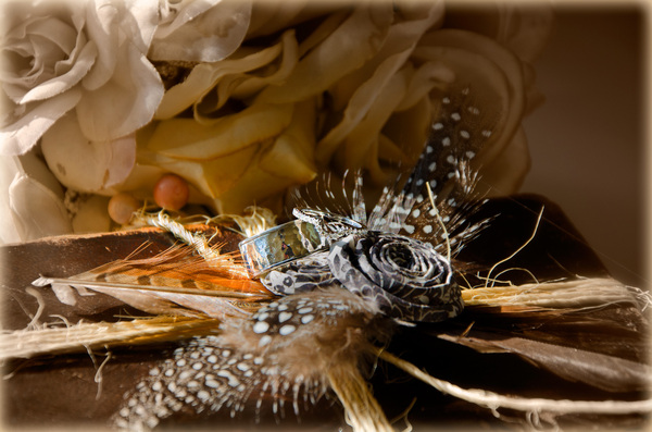 Rings, feathers and antique ro