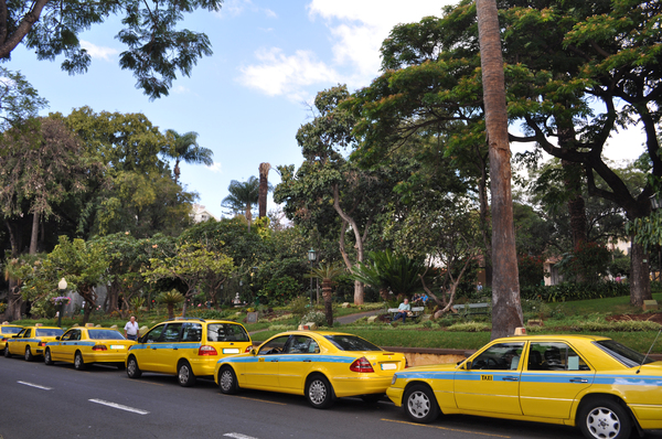 Yellow taxi rank