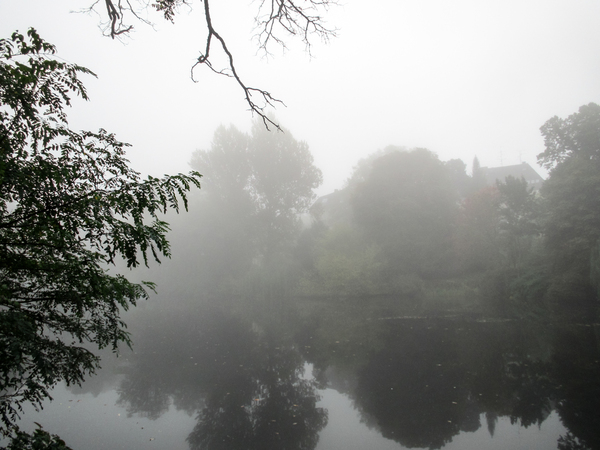 lake in autumn fog