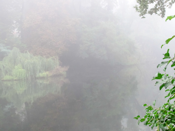 lake in autumn fog 3