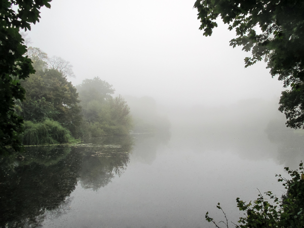 foggy autumn lake 2
