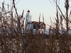 Lighthouse Marken