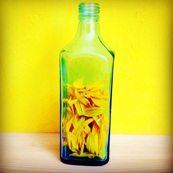 Petals in a bottle