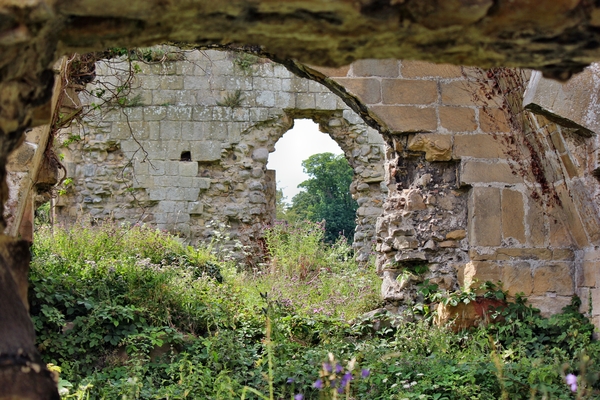 Jervaulx Abbey ruins