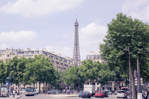Paris Cityscape 4