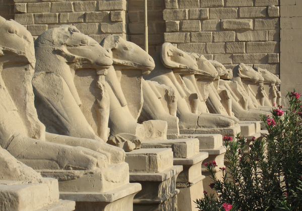 Karnak sphinxes