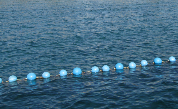 Blue buoys 2