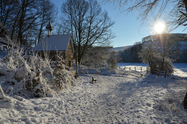 winter morning walk