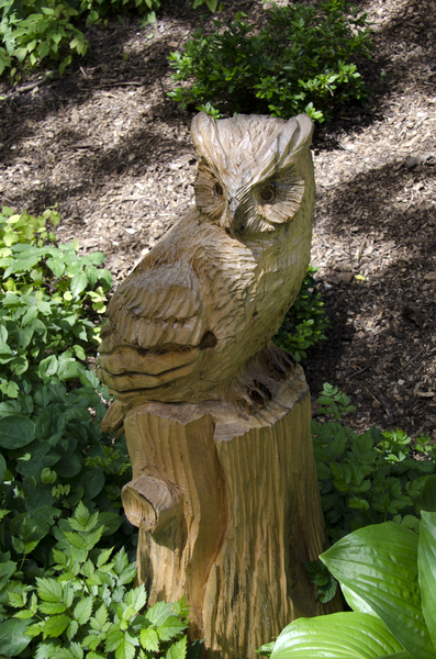 wooden owl