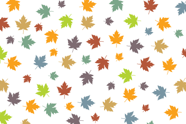 Colorful leaves 1