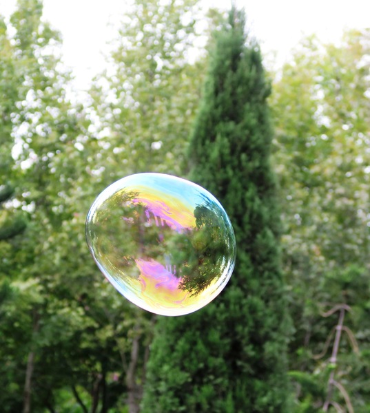 Nature bubble