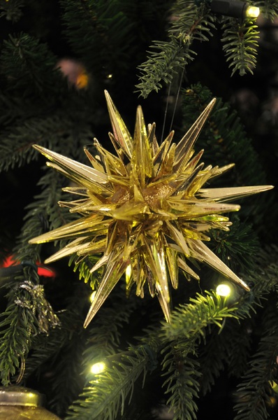 Christmas golden star