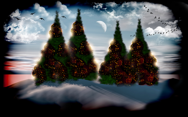 Christmas trees 2