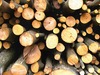 Timber 2