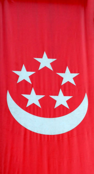 Singapore banner flag1