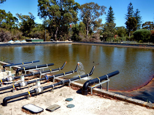 drainage & conservation pond2