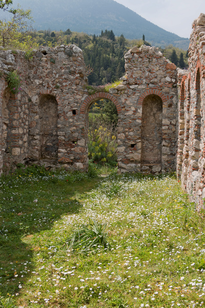 Ruins with wild flowers