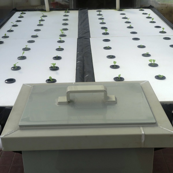 hydroponics tables