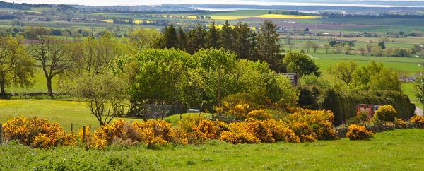 Craigowl Landscape