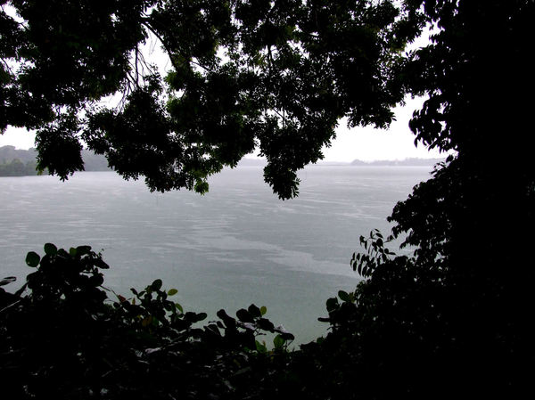 rainy day lake silhouette2b4