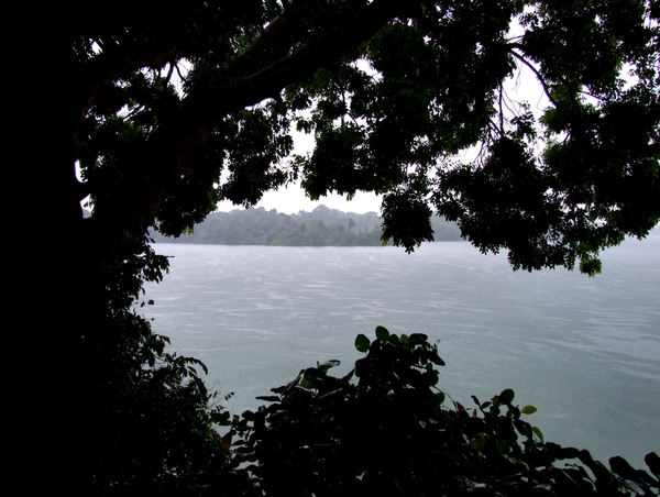 rainy day lake silhouette1b4