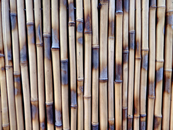 bamboo fencing1