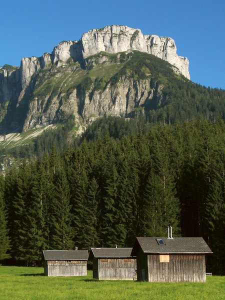 Alpine views-