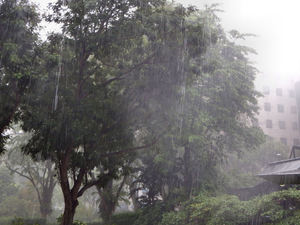 tropical downpour7