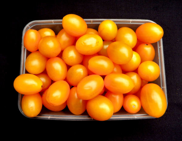 yellow cherry tomatoes1