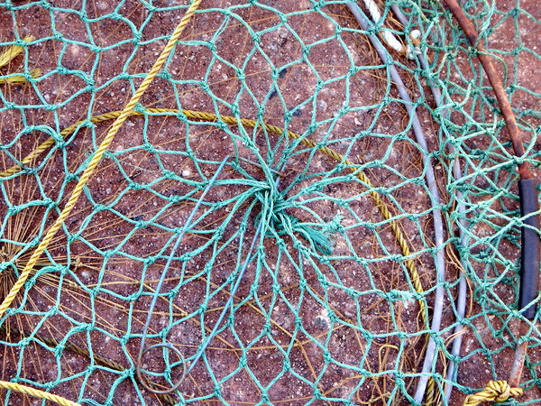 crabbing nets3