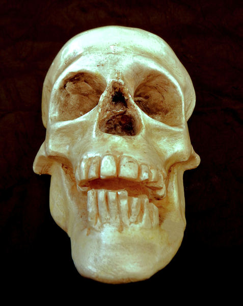 replica skull3