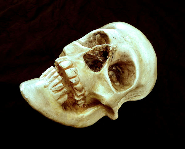 replica skull2