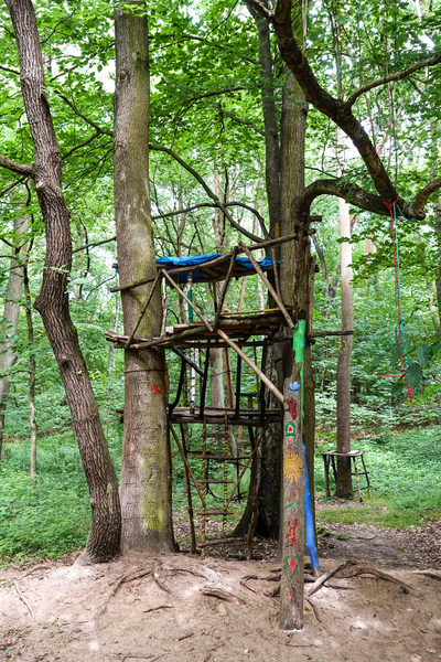 kids forest playground