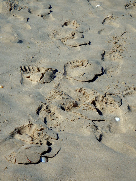 footprints in the sand2