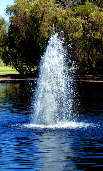 park pond fountain2