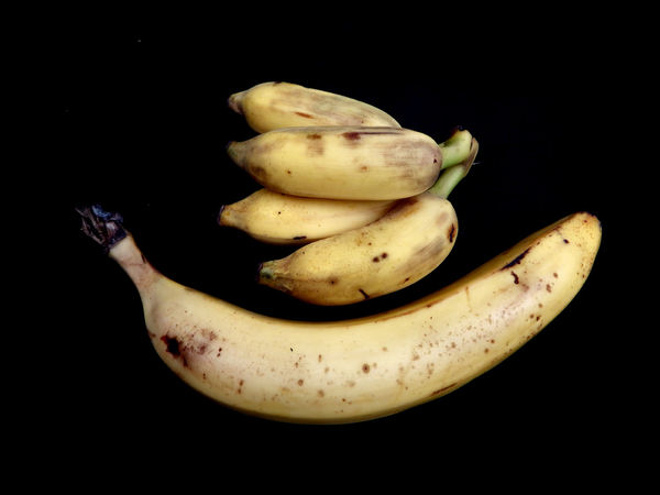 ripe banana varieties2