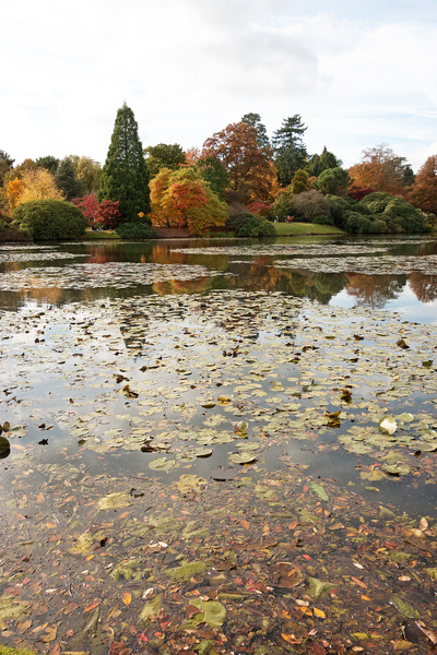 Autumn park lake