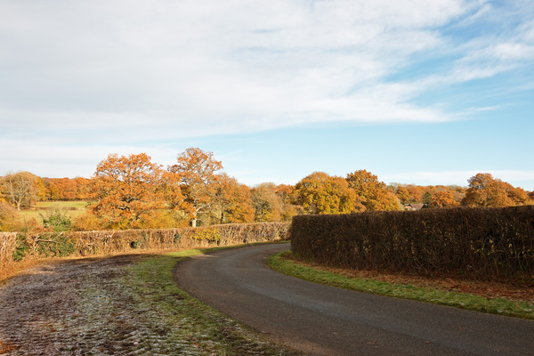 Rural lane in autumn