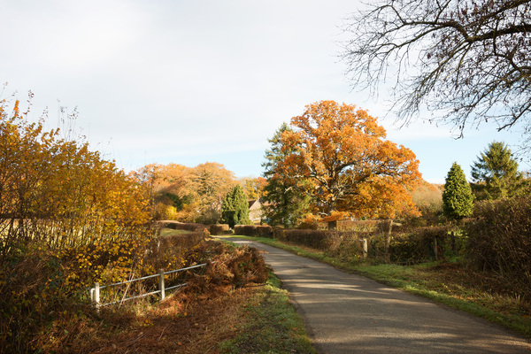 Rural lane in autumn
