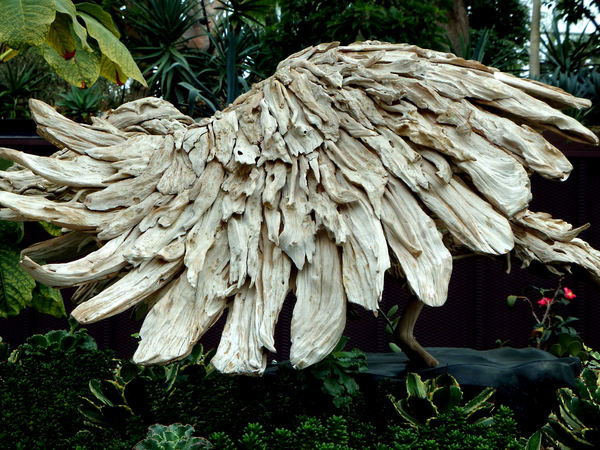 driftwood wings garden display