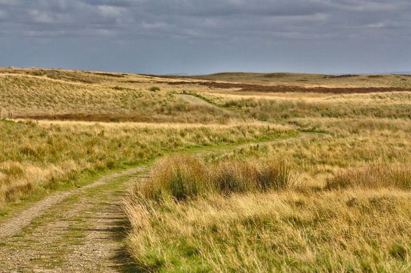 Moorland path