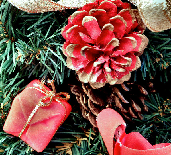 Christmas red & green1