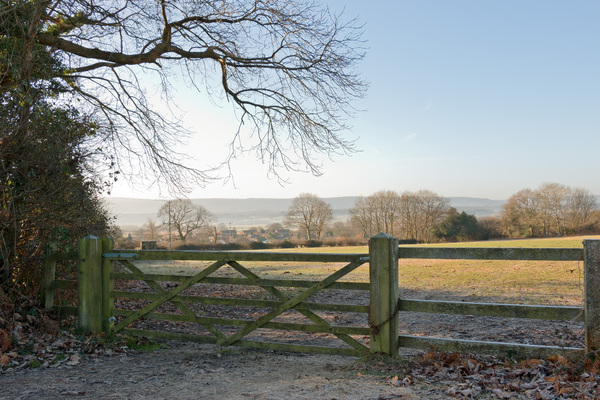 Winter gate and landscape