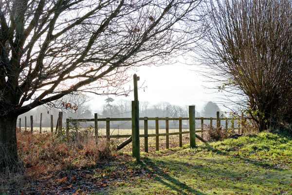 Countryside footpath