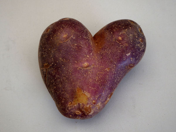 potato love1