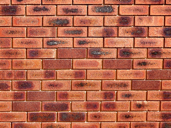 wall textures & colors51